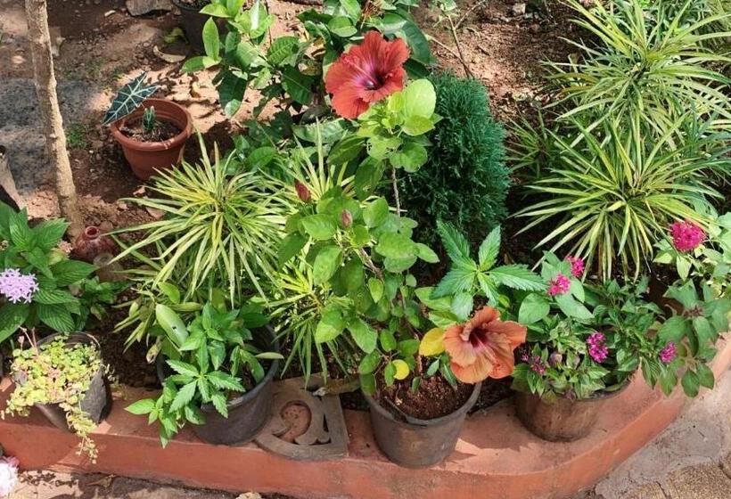 پانسیون Stan Inn, North Goa, Vagator, With Strong Wifi,free Private Parking & Kitchen, Can Cook Where You St