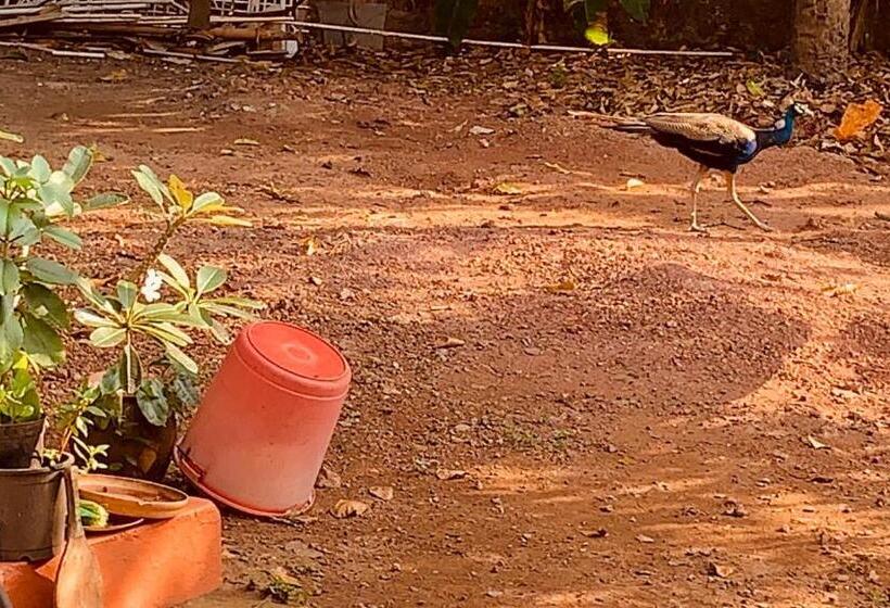 پانسیون Stan Inn, North Goa, Vagator, With Strong Wifi,free Private Parking & Kitchen, Can Cook Where You St