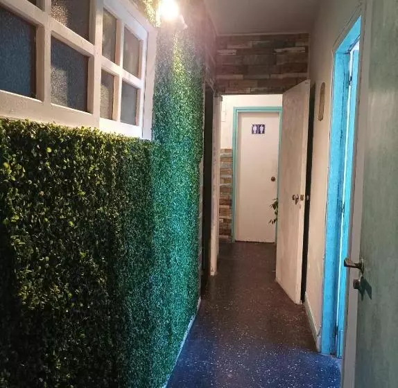 هاستل El Pelícano Hostal