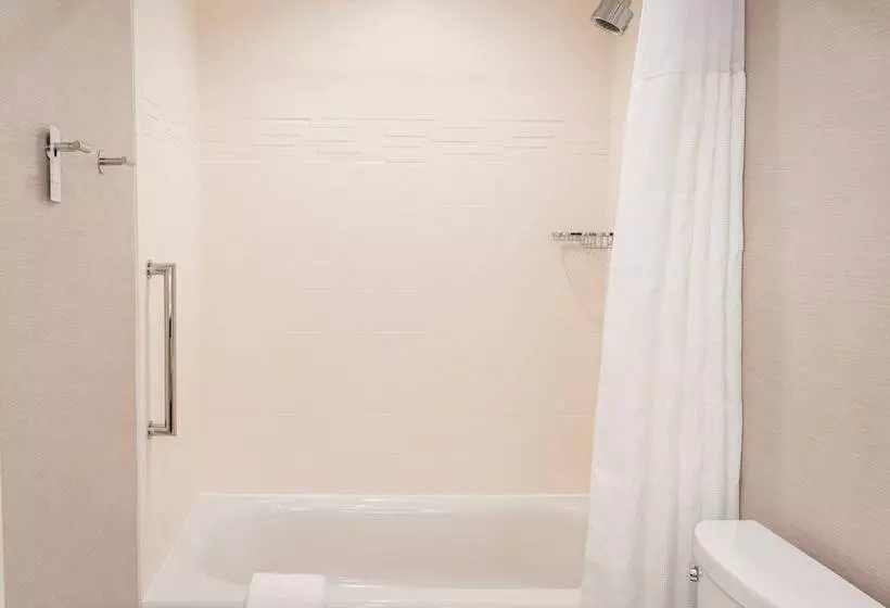 ホテル Residence Inn By Marriott Grand Rapids Downtown