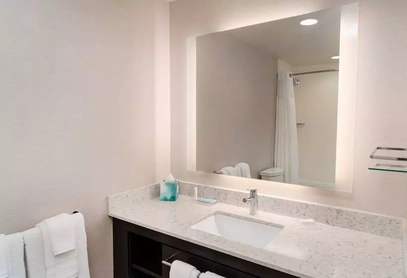 ホテル Residence Inn By Marriott Grand Rapids Downtown