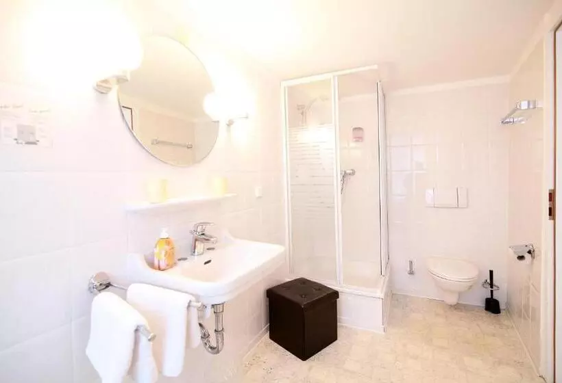 Hotelli Goldener Löwe