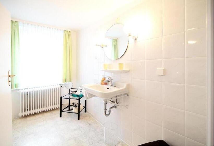 酒店 Goldener Löwe