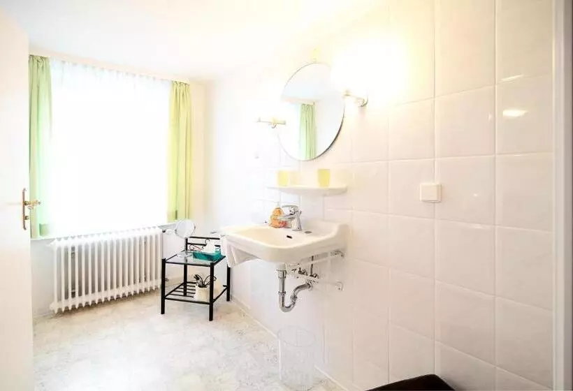 Hotelli Goldener Löwe