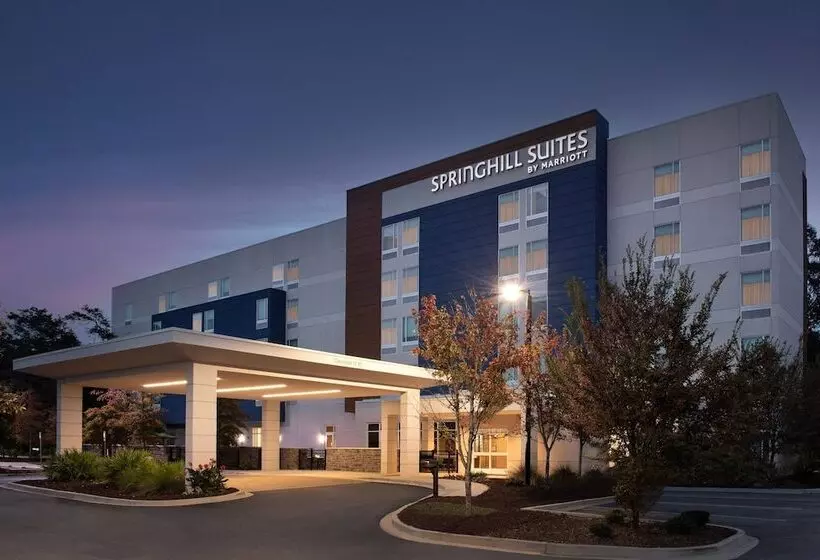 هتل Springhill Suites By Marriott Charleston Airport & Convention Center