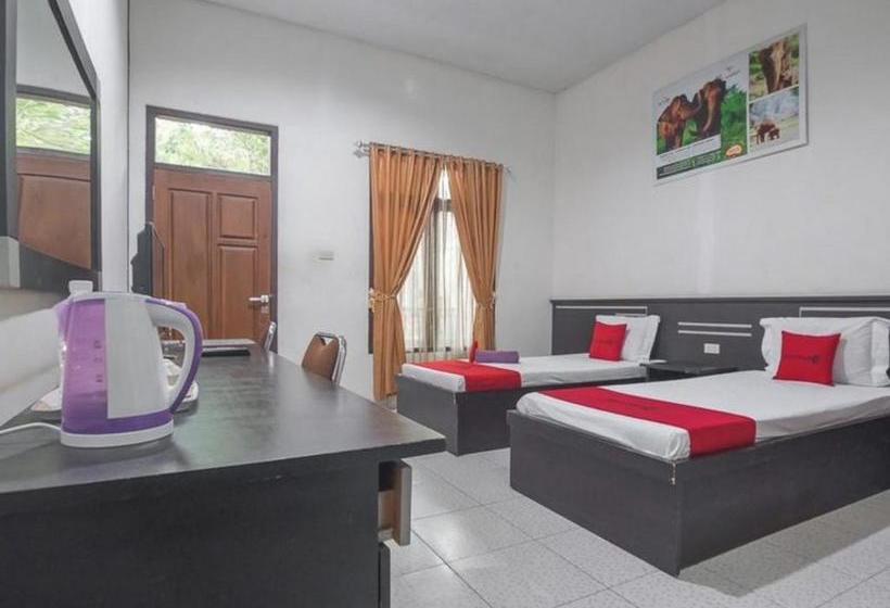 פנסיון Reddoorz Near Radin Intan Airport Lampung 2