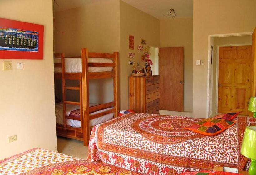 هاستل Just Next Door