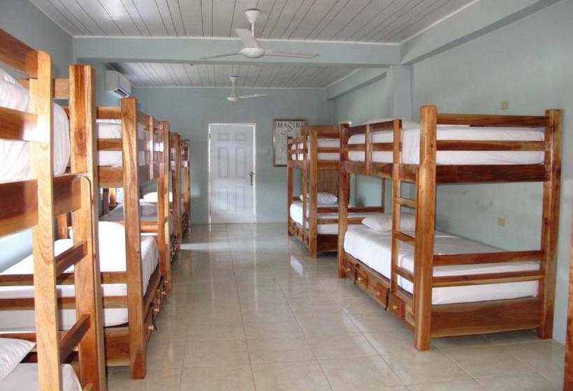 هاستل Just Next Door