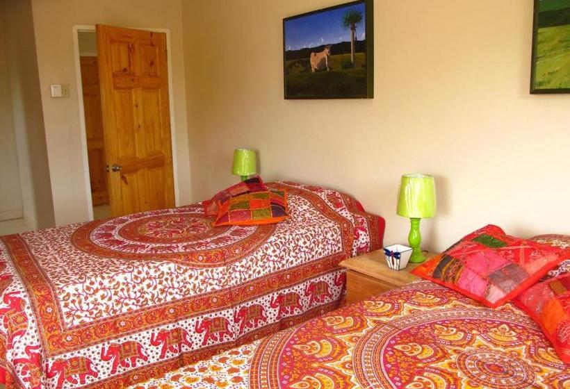 هاستل Just Next Door