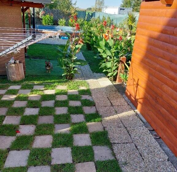 فندق صغير Penzion U Ježů   Ubytování