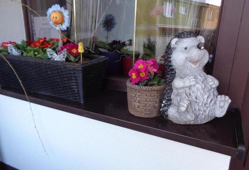 فندق صغير Penzion U Ježů   Ubytování