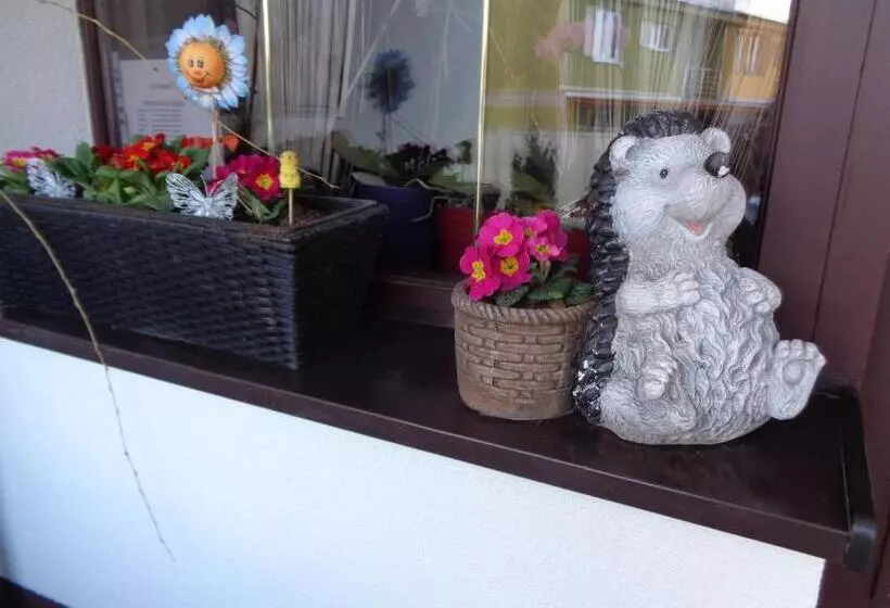 ユースホステル Penzion U Ježů   Ubytování