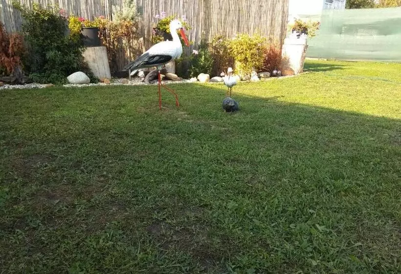 ユースホステル Penzion U Ježů   Ubytování