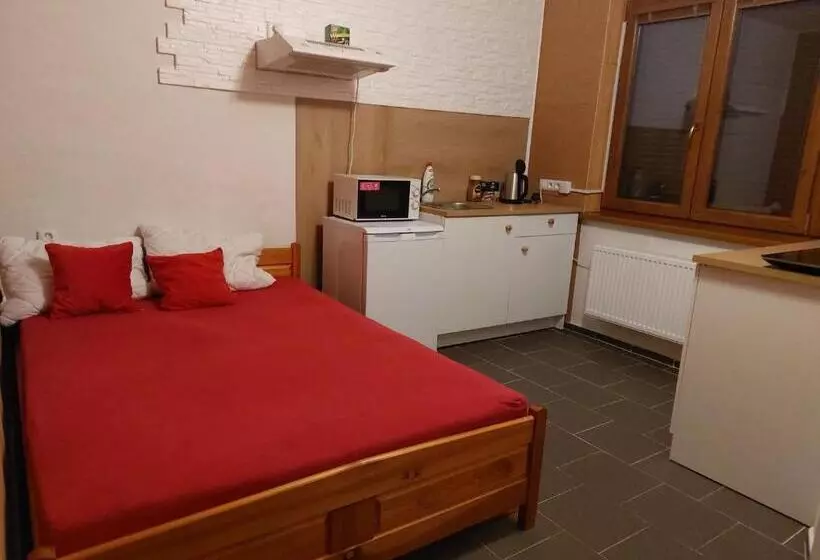 ユースホステル Penzion U Ježů   Ubytování