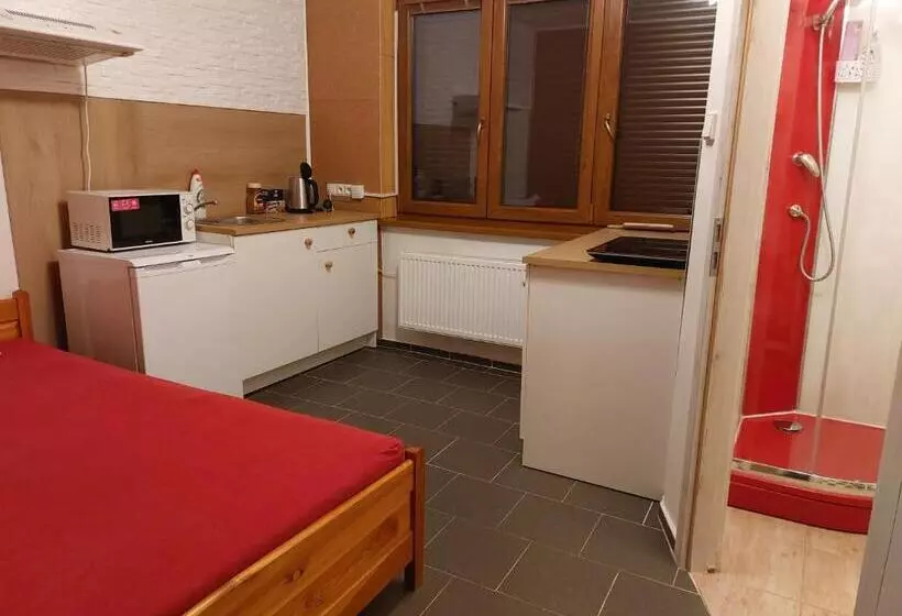 ユースホステル Penzion U Ježů   Ubytování