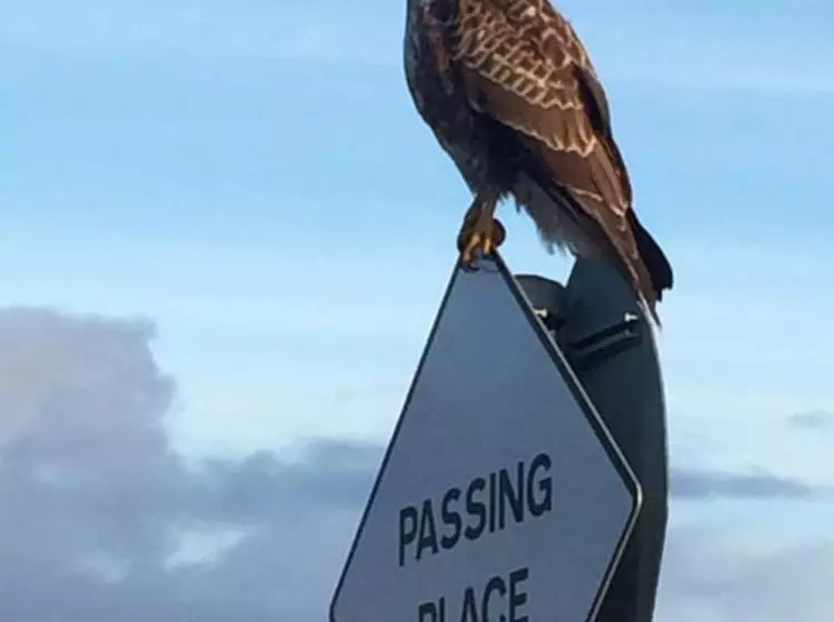 Aamiaismajoitus (B&B) Glendale View