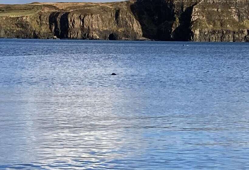 민박 Glendale View