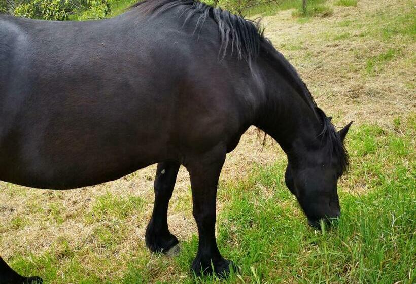 Отель Agriturismo Olimpo