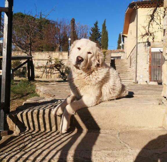 Отель Agriturismo Olimpo