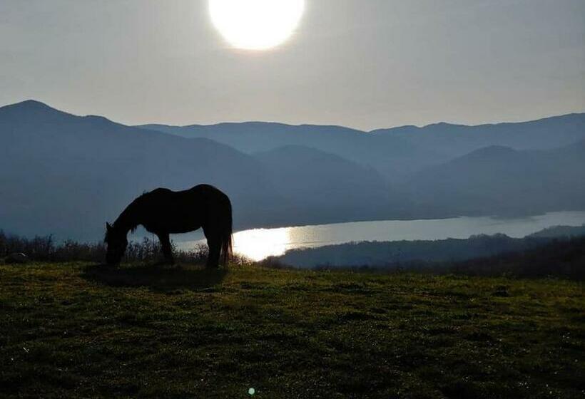 Отель Agriturismo Olimpo