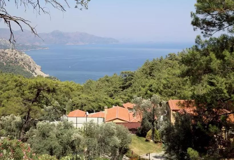 Hotelli Alya Villa Butik