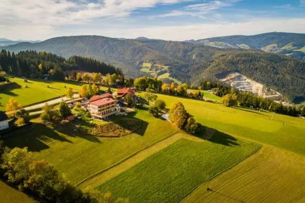 Hotelli Der Almblick