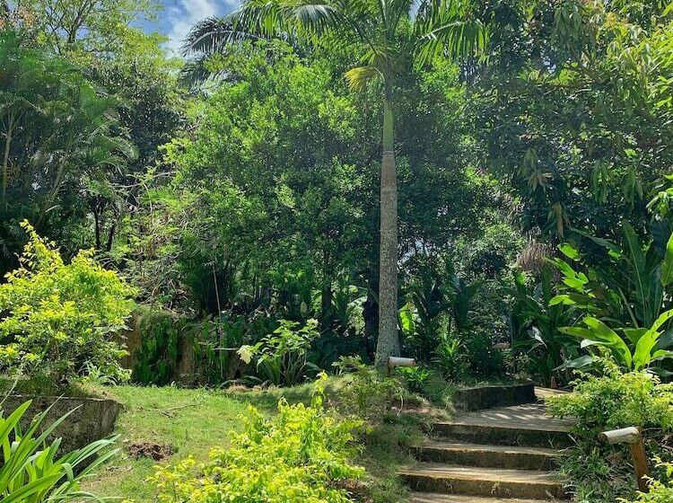 호텔 La Casablanca Tayrona