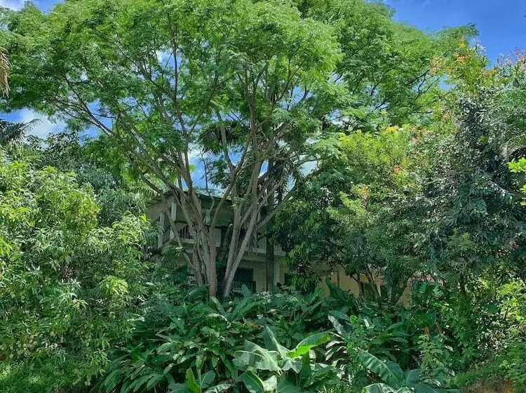 Hotelli La Casablanca Tayrona