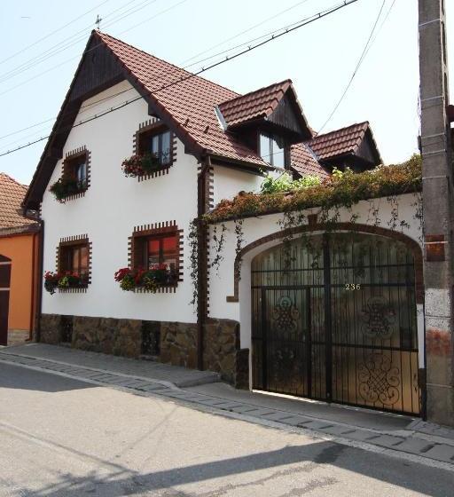 펜션 Casa De Vacanta Vidrighin