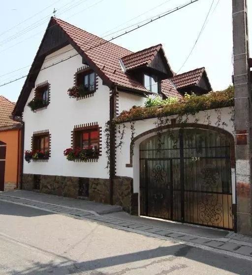 پانسیون Casa De Vacanta Vidrighin