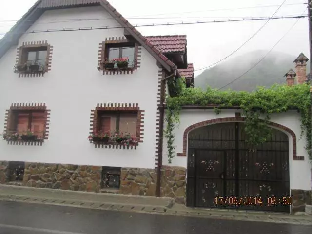 پانسیون Casa De Vacanta Vidrighin