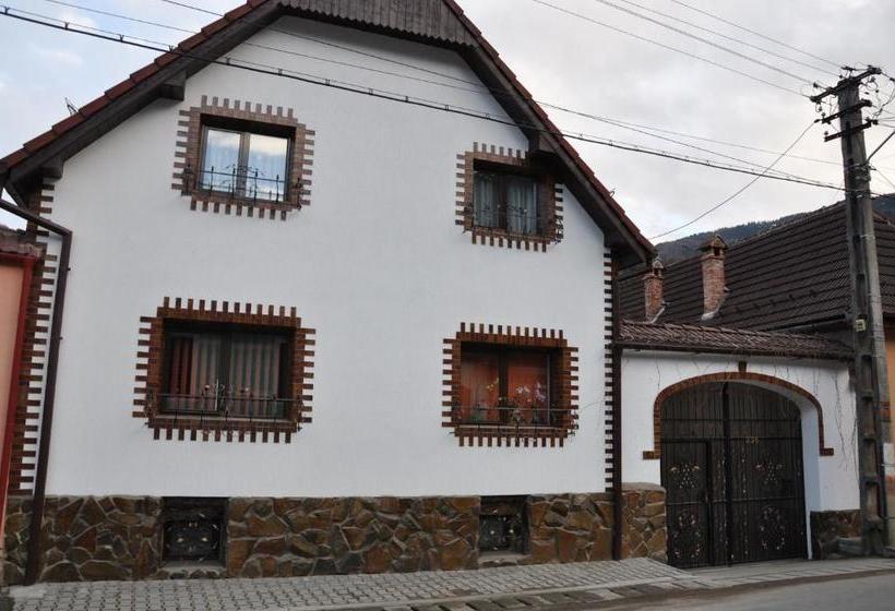 펜션 Casa De Vacanta Vidrighin