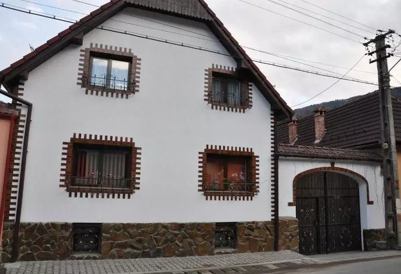 پانسیون Casa De Vacanta Vidrighin