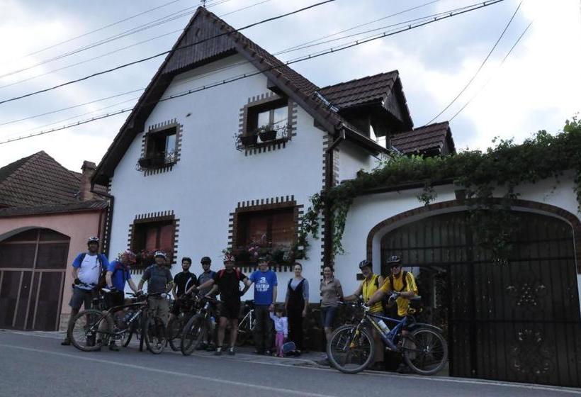 펜션 Casa De Vacanta Vidrighin