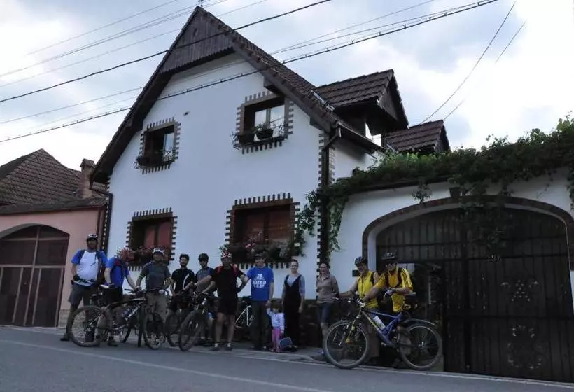 پانسیون Casa De Vacanta Vidrighin