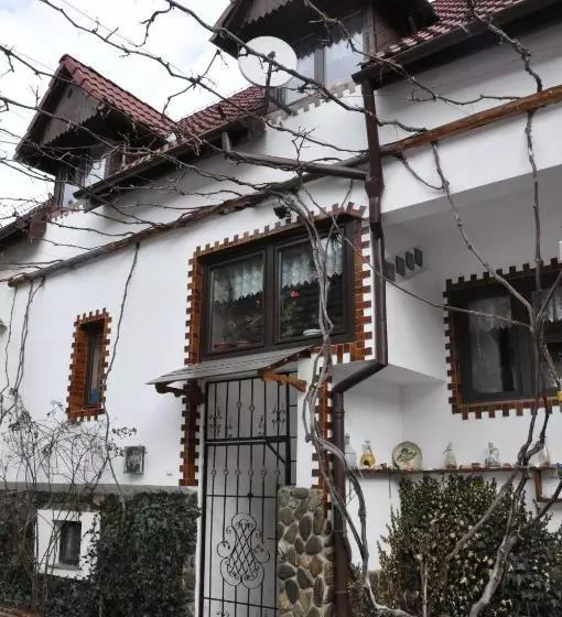 پانسیون Casa De Vacanta Vidrighin