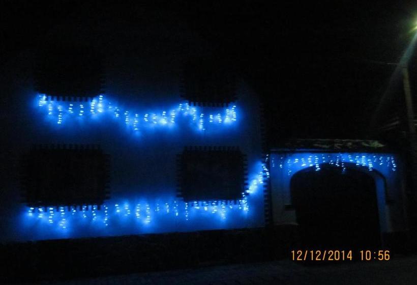 펜션 Casa De Vacanta Vidrighin