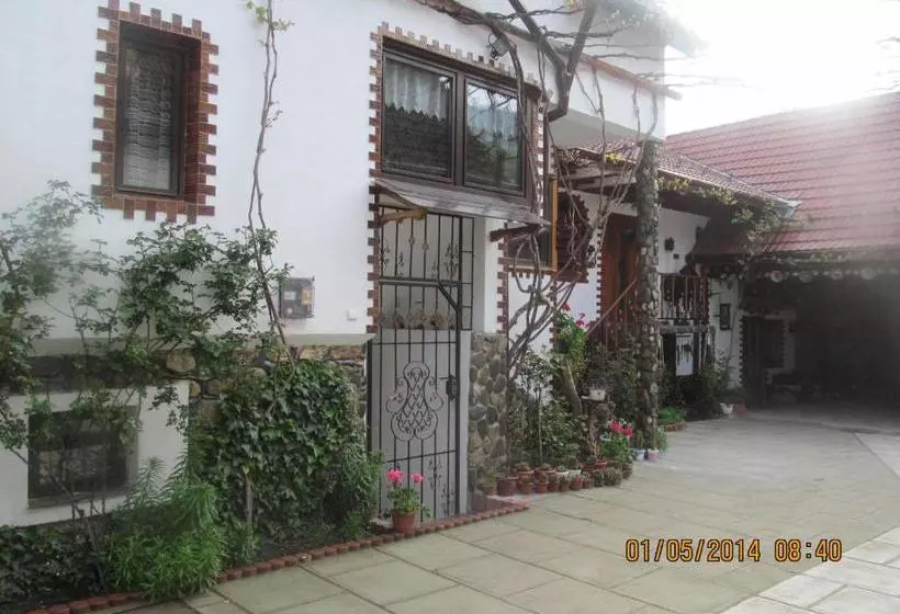 پانسیون Casa De Vacanta Vidrighin