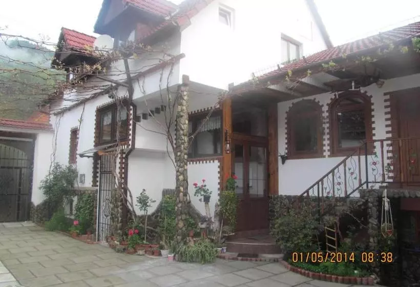 پانسیون Casa De Vacanta Vidrighin