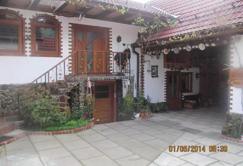 پانسیون Casa De Vacanta Vidrighin