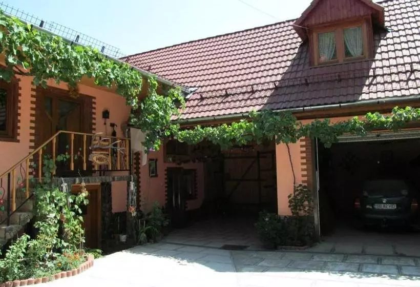 پانسیون Casa De Vacanta Vidrighin