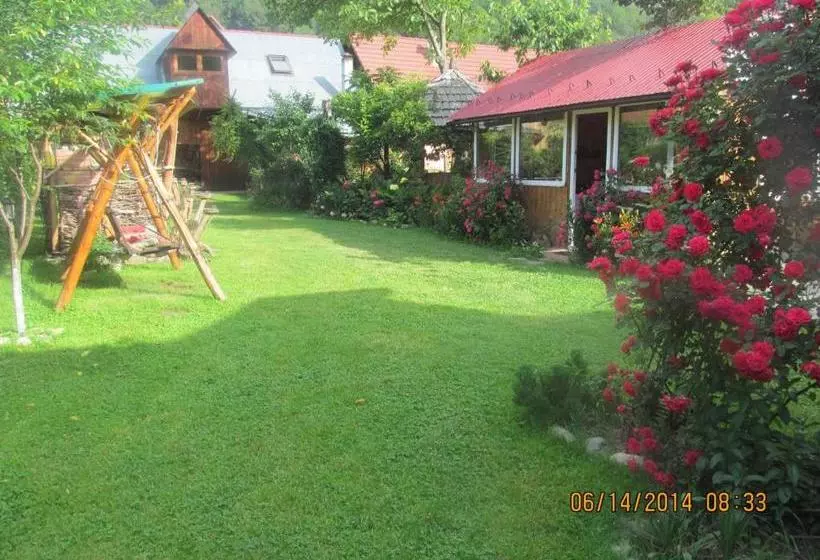 پانسیون Casa De Vacanta Vidrighin
