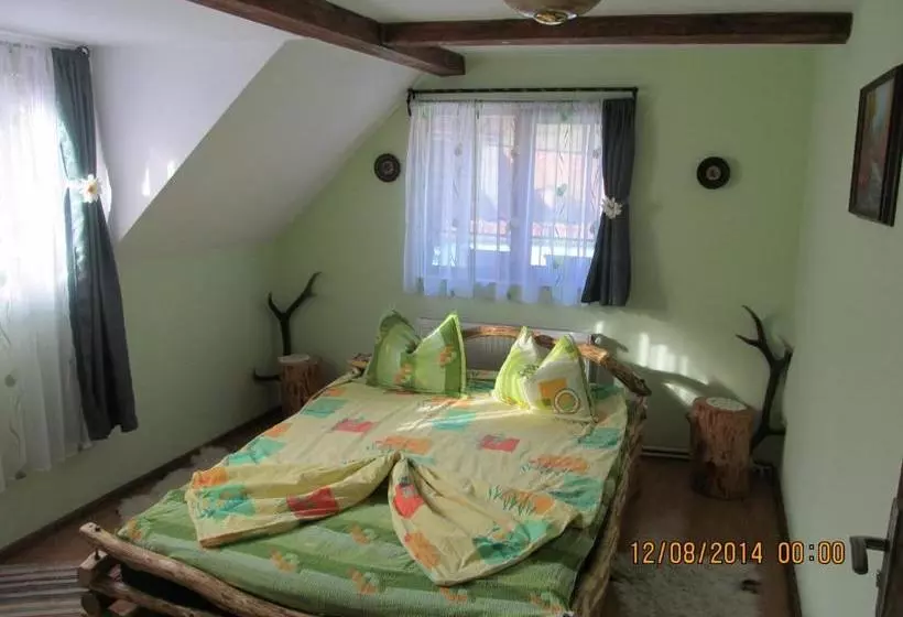 پانسیون Casa De Vacanta Vidrighin