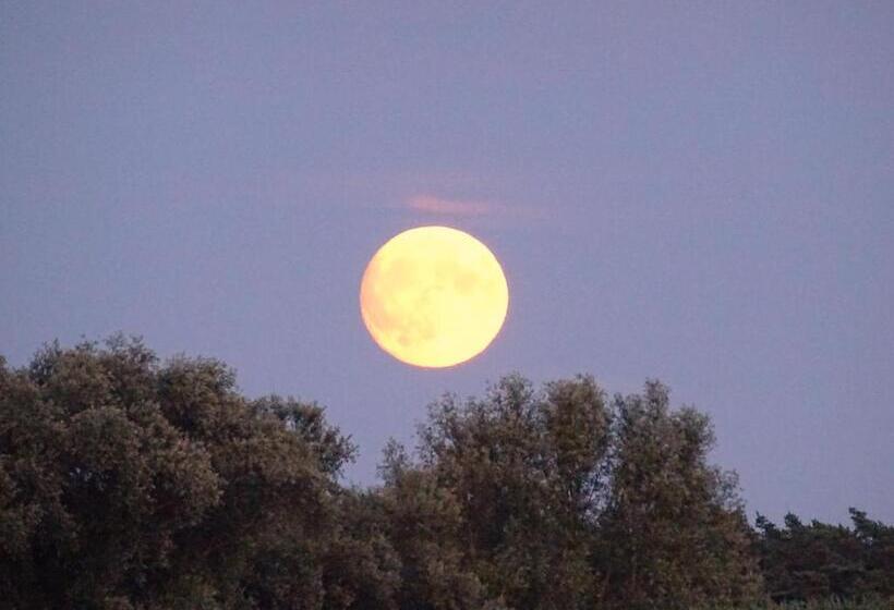 Pension Müritzblick