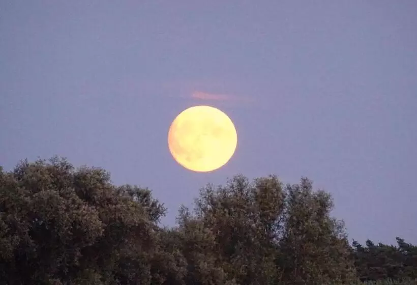 Pension Müritzblick