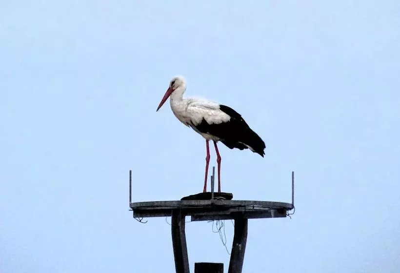 Pension Müritzblick