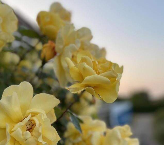 Pension Müritzblick