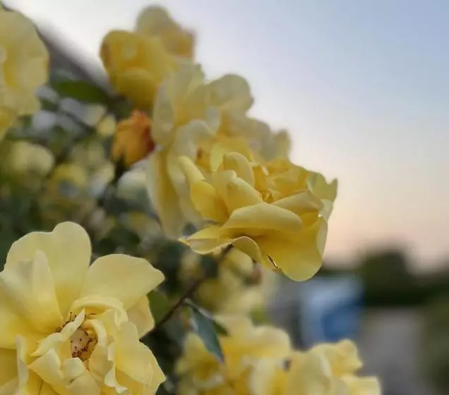 Pension Müritzblick