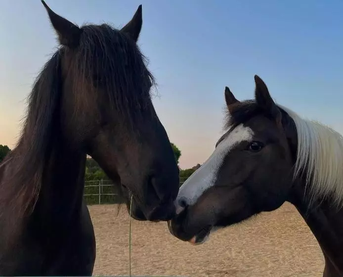 Pension Müritzblick