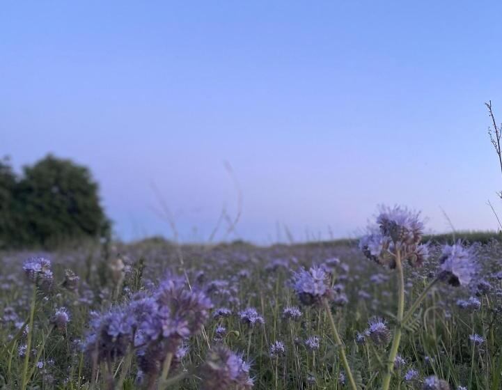 Pension Müritzblick
